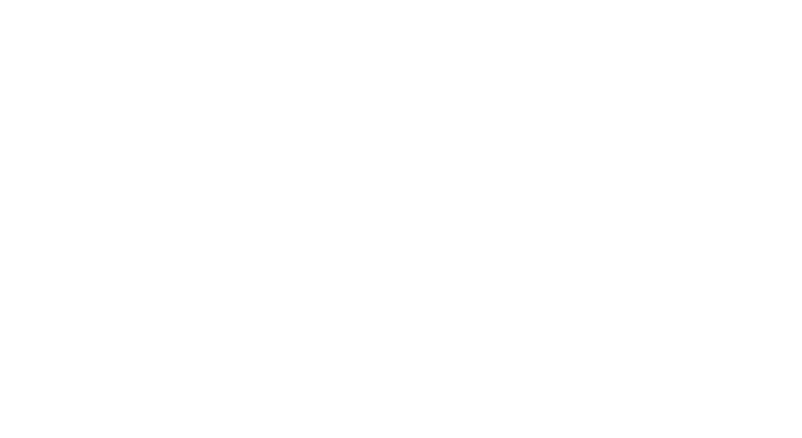 Devero Consulenze Logo